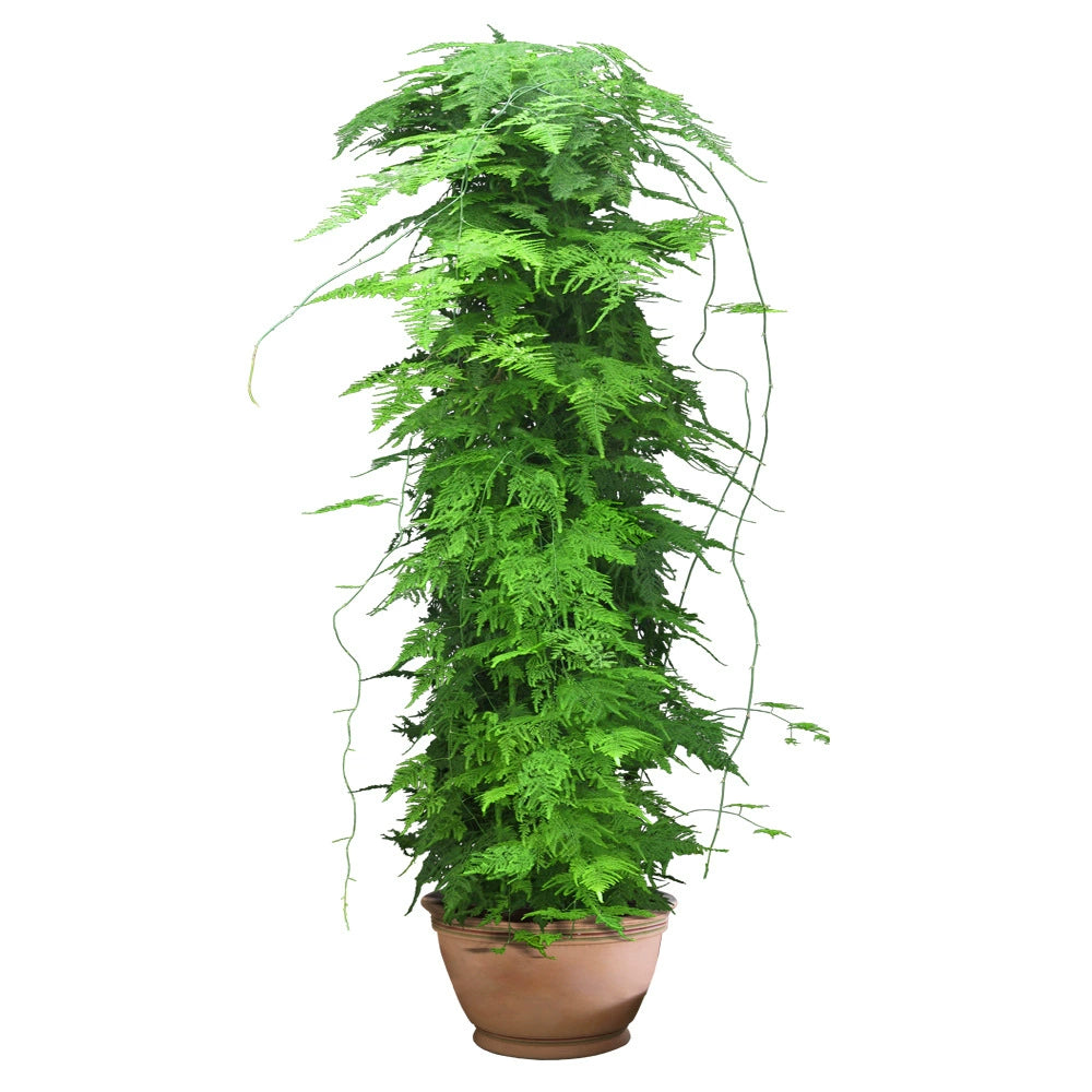 Vertical Self-Adhesive Entrance Painting Bonsai Artificial Green Plant
