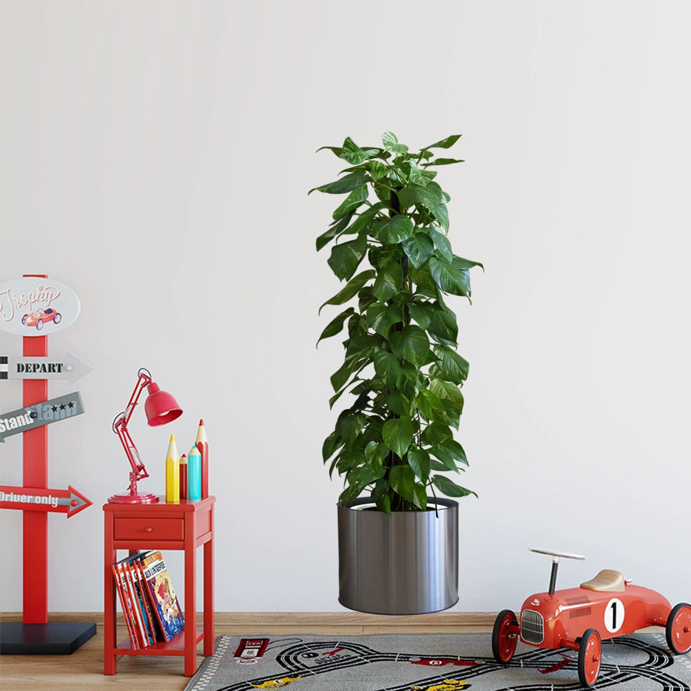 Vertical Self-Adhesive Entrance Painting Bonsai Artificial Green Plant