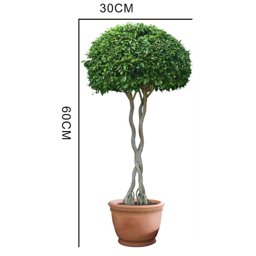 Vertical Self-Adhesive Entrance Painting Bonsai Artificial Green Plant