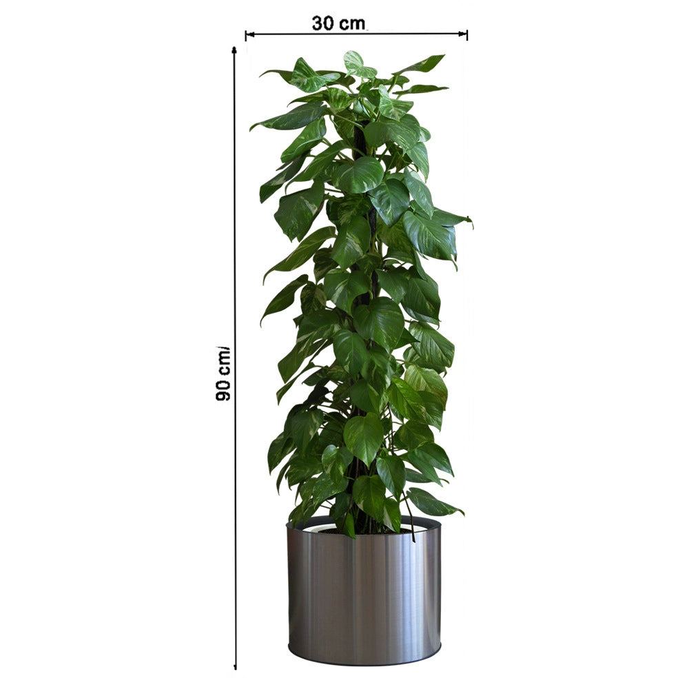 Vertical Self-Adhesive Entrance Painting Bonsai Artificial Green Plant