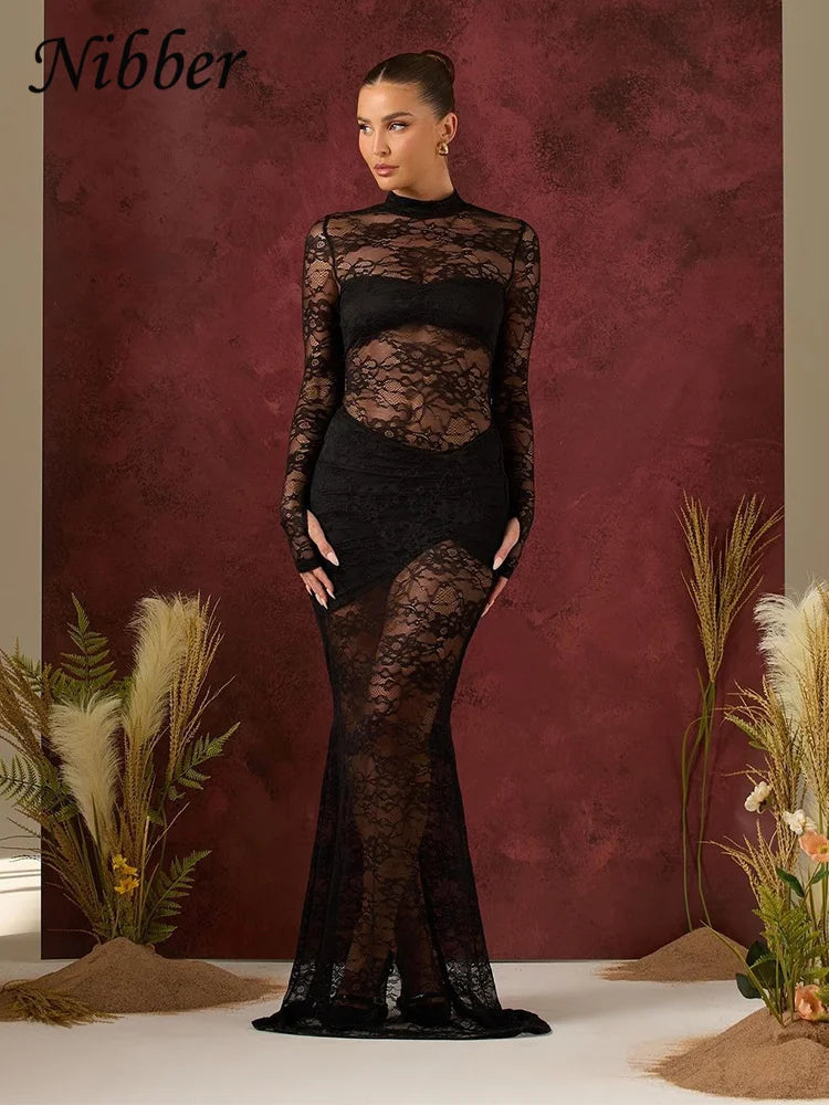 Nibber Sexy Party Dress Women Patchwork Lace Autumn Fashion Stretch Full Sleeve Skinny Birthday Midnight Clubwear Solid Vestidos